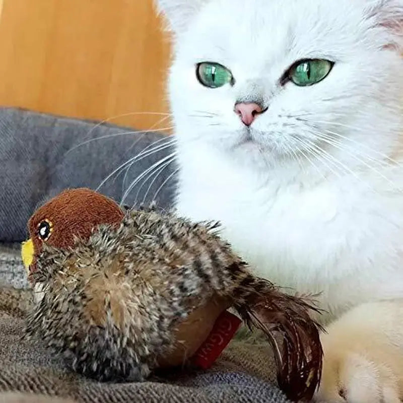 CrazyBird - Brinquedo Interativo Simulador De Pássaro Para Gatos