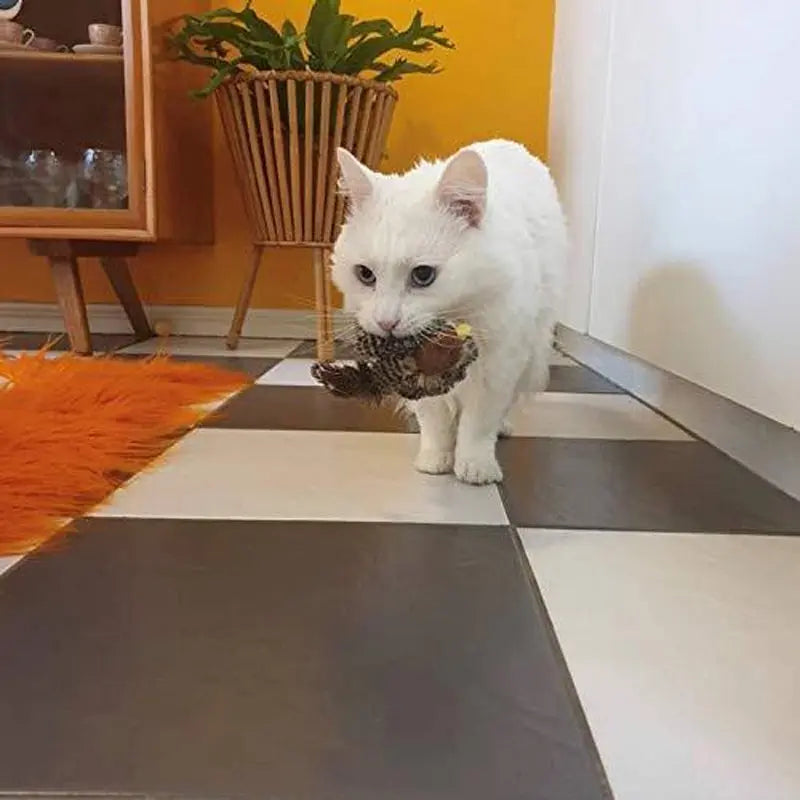 CrazyBird - Brinquedo Interativo Simulador De Pássaro Para Gatos