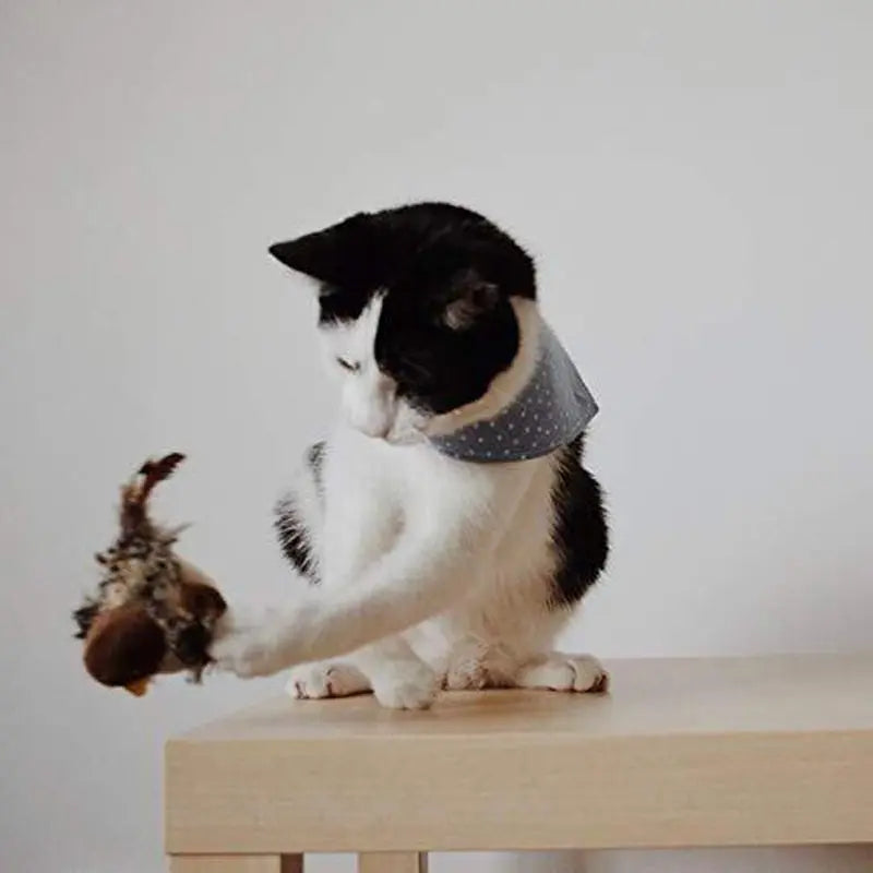 CrazyBird - Brinquedo Interativo Simulador De Pássaro Para Gatos